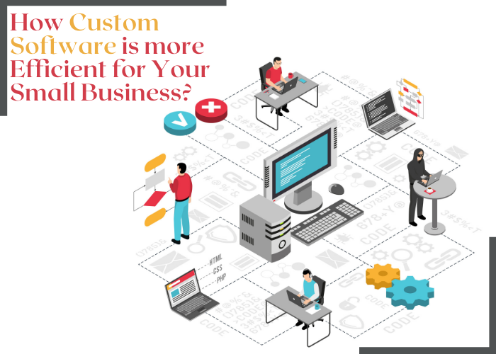 How Custom Software is more Efficient for Your Sma